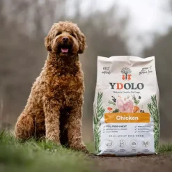 YDOLO Healthy & Pure Chicken puolikostea koiranruoka
