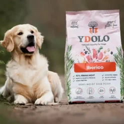 YDOLO Healthy & Pure Iberico puolikostea koiranruoka