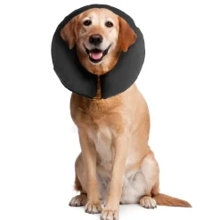 Zencollar Puhallettava kauluri