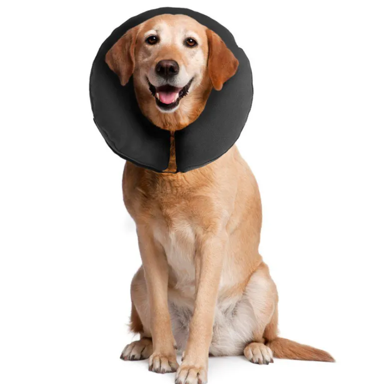 Zencollar Puhallettava kauluri