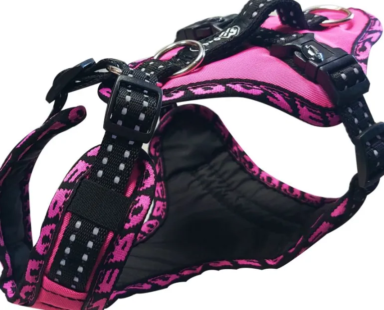Zero DC Easy Peasy Royal koiran valjaat, pinkki