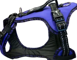 Zero DC Easy Peasy Royal koiran valjaat, violetti