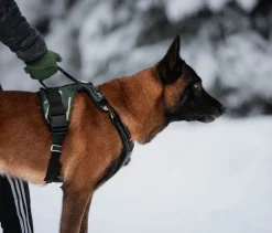 Zero DC Kodiak koiran valjaat, musta